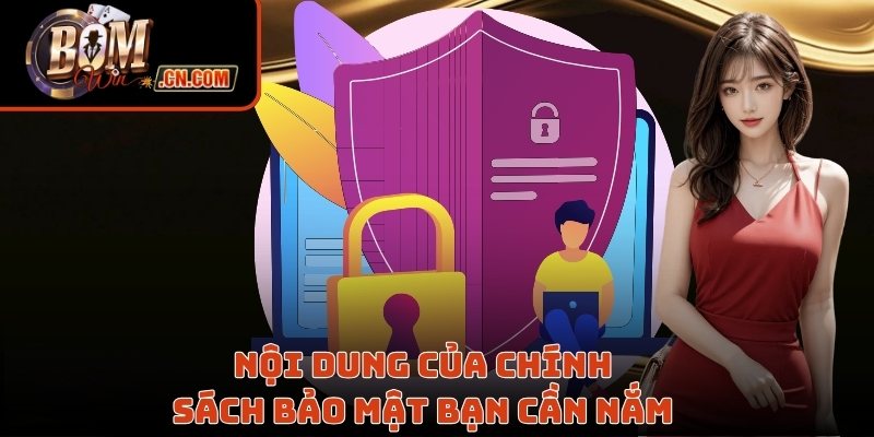 Nội dung của chính sách bảo mật bạn cần nắm 