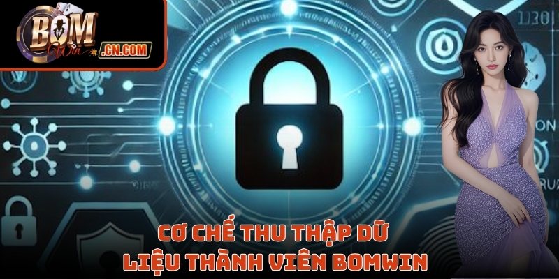 Cơ chế thu thập dữ liệu thành viên Bomwin